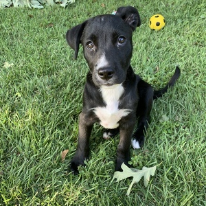 Mary Beth and Bert Wilusz